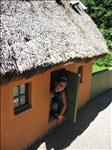 Sweden 2006-07 235